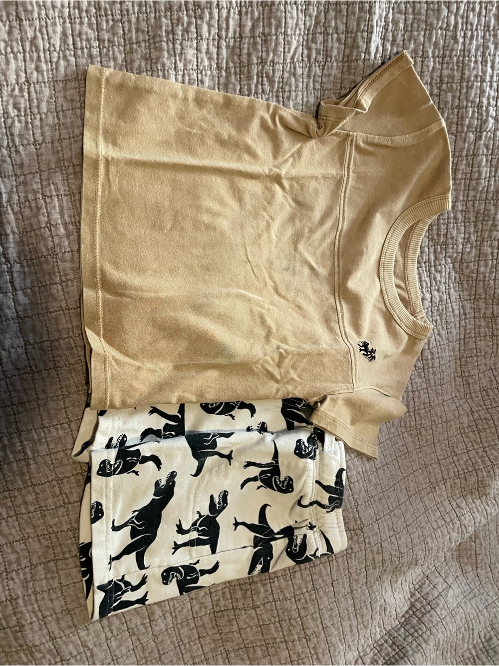 Beige Short Sleeve Top with Black Animal Print Shorts